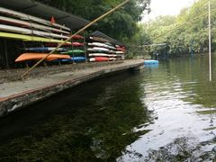 -晓港公园