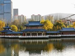 -雁滩公园