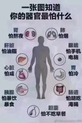 点击看大图 -香薇妮丝女子减肥院