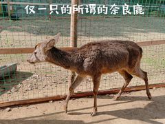 -张公山寨景区