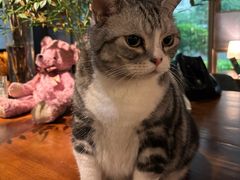 -咖法森林·咖啡  酒吧(天河店)