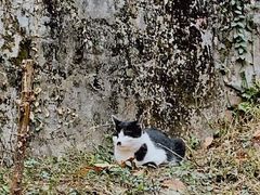 -武汉大学风雨操场