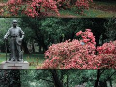 -中国科学院华南植物园