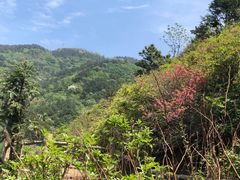 -木兰云雾山