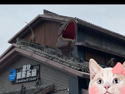 -恐龙探索乐园(磁器口店)