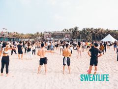 -欢乐海岸椰林沙滩-2025湾区超级灯会