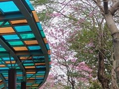 -文华公园(禅城区)