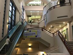 -香港大学