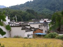 -塔川景区