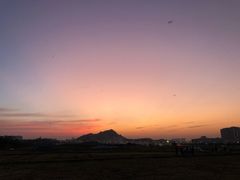 景点-光明小镇欢乐田园