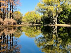 -上海共青森林公园