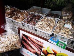 -雅安上里古镇