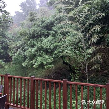 看了全部点评发现深林城堡房型图片就一两个