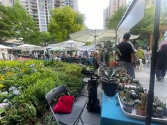 -瑞虹新天地月亮湾
