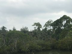 -东寨港红树林旅游区