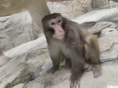 -泉州海丝野生动物世界