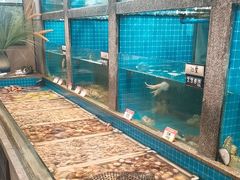 -码头鲜精致威海菜(欧乐坊店)