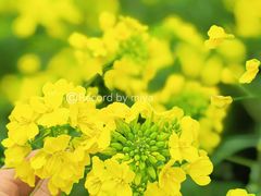 -营地公园·团建拓展·亲子户外(奉贤店)