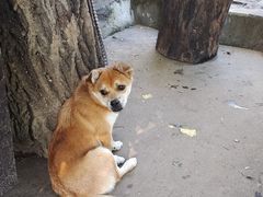 -姥家大锅台水库渔家