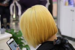 -阿玛仕