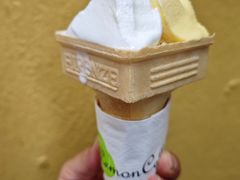 -柠檬车露(卖草地店)