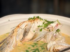 清炖鱼-百翠山居.家飨餐厅