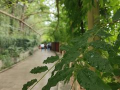 -红螺寺