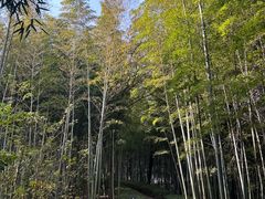 -天目湖涵田度假村