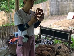 -大象粑粑造纸公园