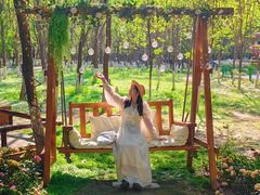 -长白岛森林公园