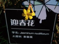 -人民公园-相亲角