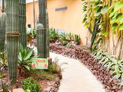 -正佳雨林生态植物园