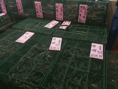 -荔城生鲜盛宴(番禺旗舰店)
