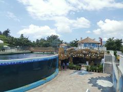 -瑞德姆美人鱼海底演艺主题餐厅(亚龙湾店)