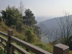 -铁山坪森林公园