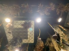 -森味薪火烧•烧鸟居酒屋•日本料理(望京店)