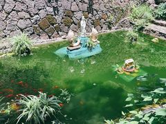 -冠豸山景区