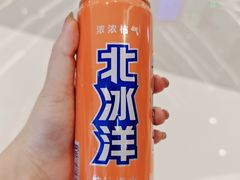 -首开·龙湖成都西宸天街