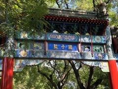 -北京国子监胡同
