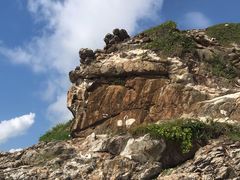 -盐洲岛