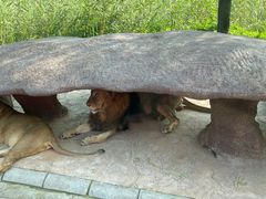 -北京野生动物园