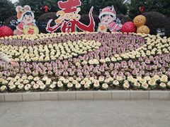 -麦当劳(轻轨曹杨路店)