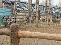 -大连森林动物园