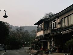 -龙井村