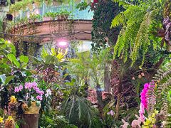 -正佳雨林生态植物园