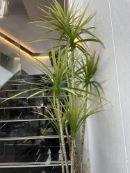 -茶发Salon·烫发染发理发