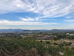 -密云玫瑰情园