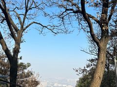 -惠山国家森林公园