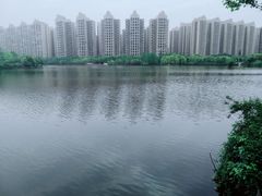 -成都南湖公园