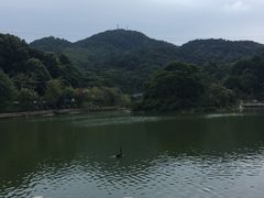 -广州市帽峰山景区